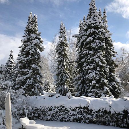 Traumhaftes Ferienhaus Direkt Am Tegernsee Rotta Εξωτερικό φωτογραφία